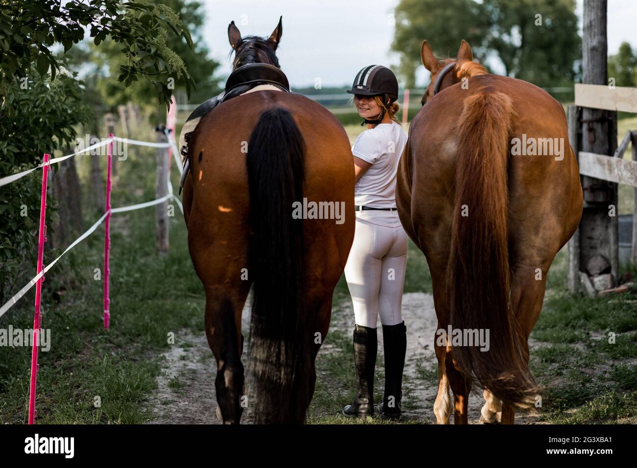 Bella donna conduce cavalli da sessione di allenamento in estate sera.Foto dalla parte posteriore. L'atleta gira intorno e sorride. Sport e salute. Il conc Foto Stock