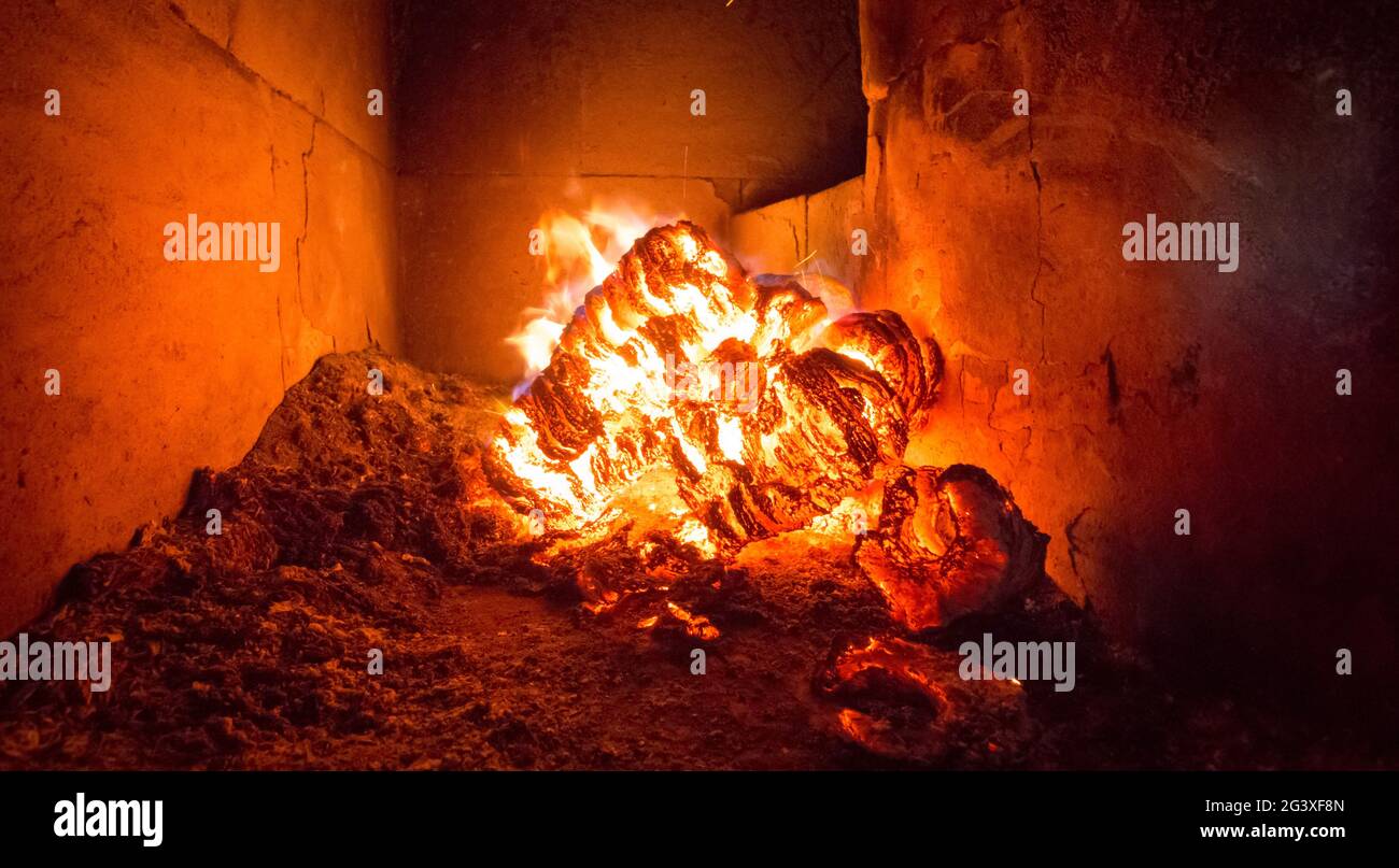 Blaze vigili del fuoco di fiamma in stufa, arancione e nero Foto Stock