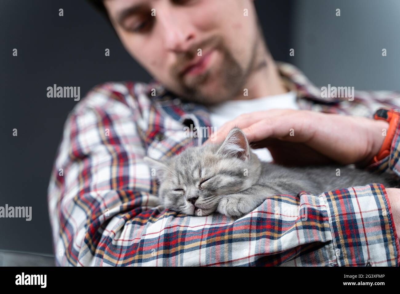 Gli animali domestici amano il tema. L'uomo protegge dolcemente il sonno della razza di gattino britannico prime-eared che tiene in armi e che stropica a casa. Bella rela Foto Stock