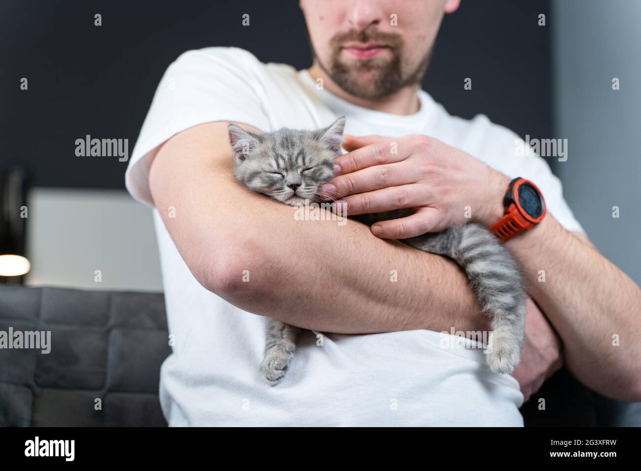 Gli animali domestici amano il tema. L'uomo protegge dolcemente il sonno della razza di gattino britannico prime-eared che tiene in armi e che stropica a casa. Bella rela Foto Stock