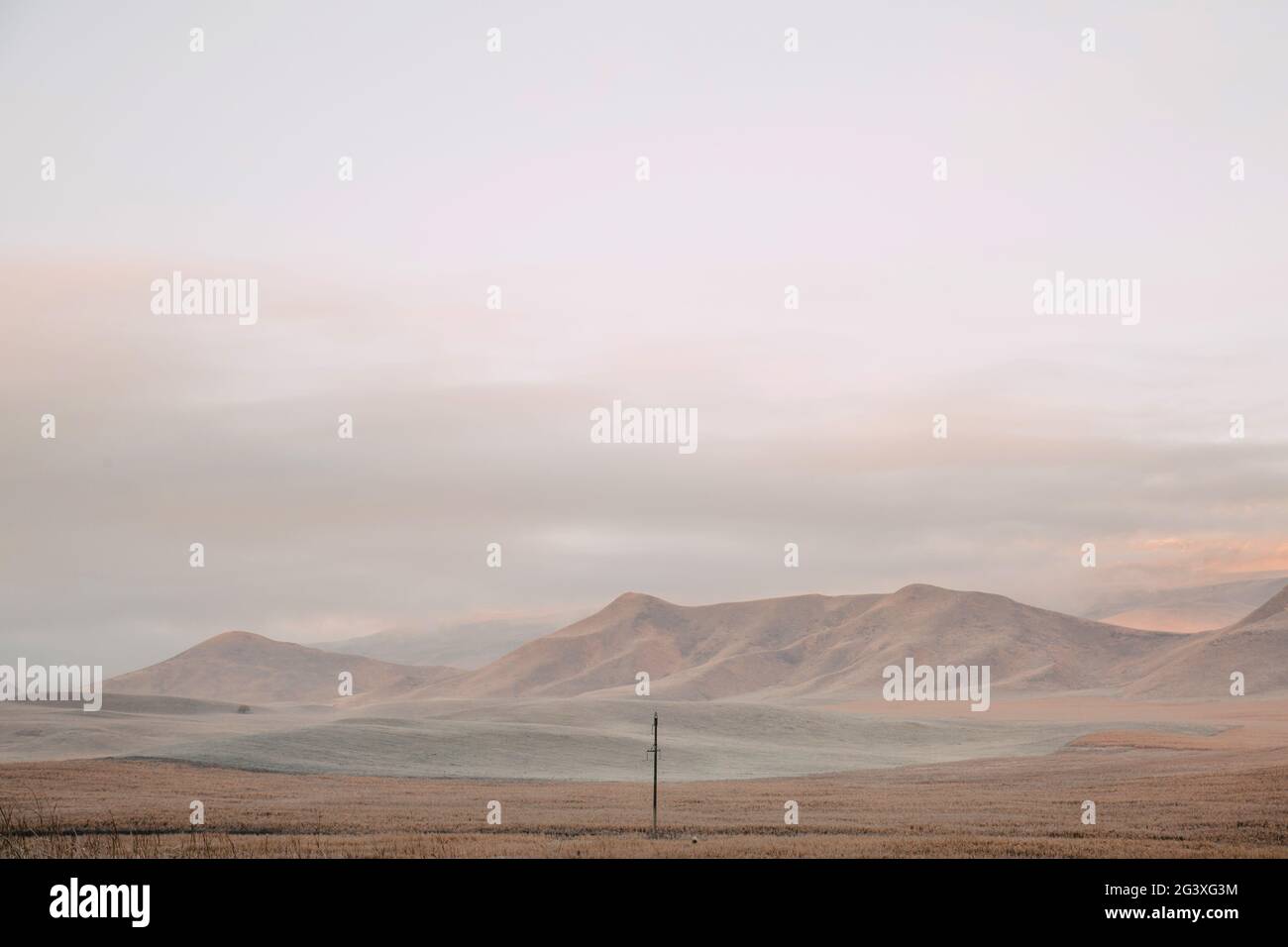 Polo Lone in un campo su uno sfondo di montagne. Dawn in campo autunnale. Colline in tormentata mattina. Erba coperta di hoarfr autunno Foto Stock