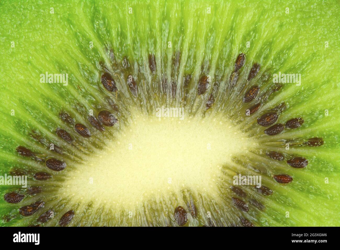 Sfondo di kiwi Foto Stock