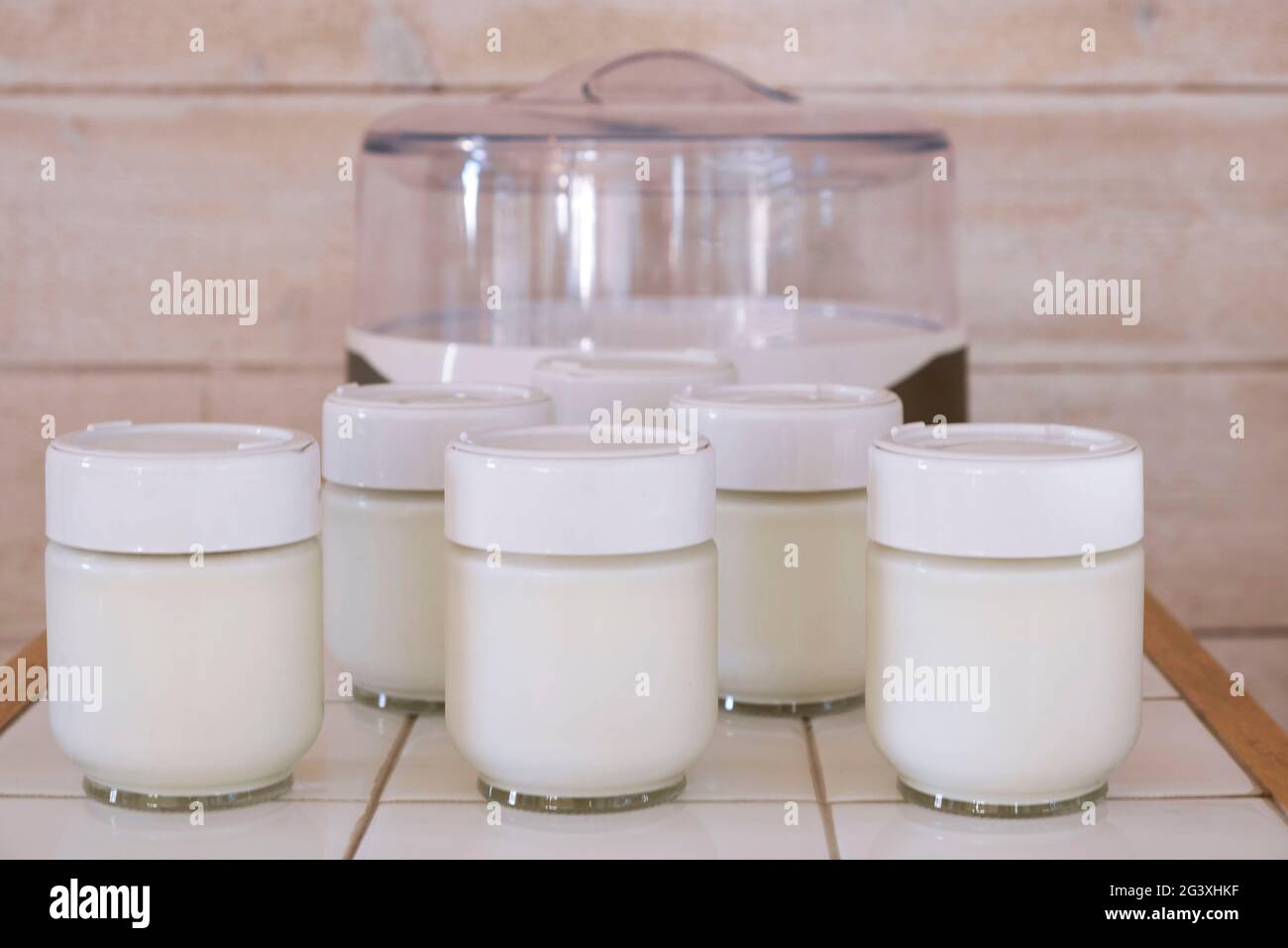 Produzione di yogurt fatti in casa con una macchina per lo yogurt, yogurt in vasi di vetro Foto Stock