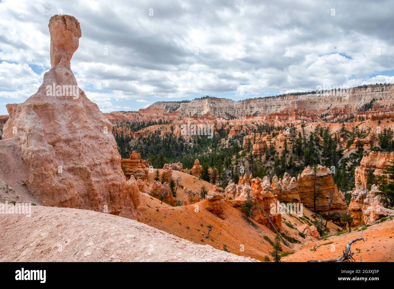 Rocce Rosse Hoodoos nel Bryce punto al Parco Nazionale di Bryce Canyon, Utah Foto Stock