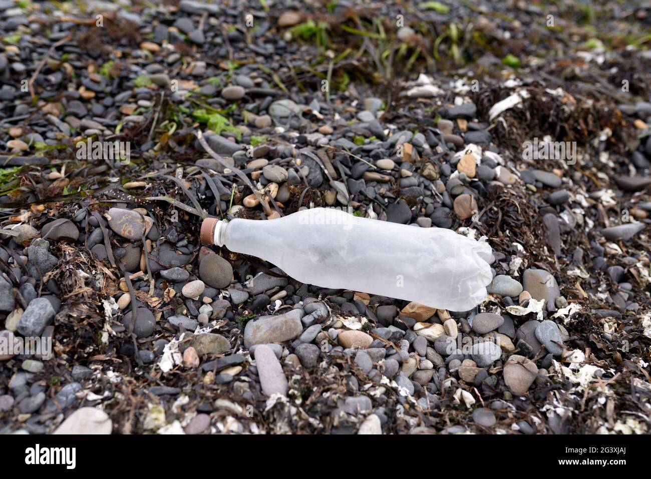 Bottiglia di plastica sulla riva del mare del Giappone. Foto Stock