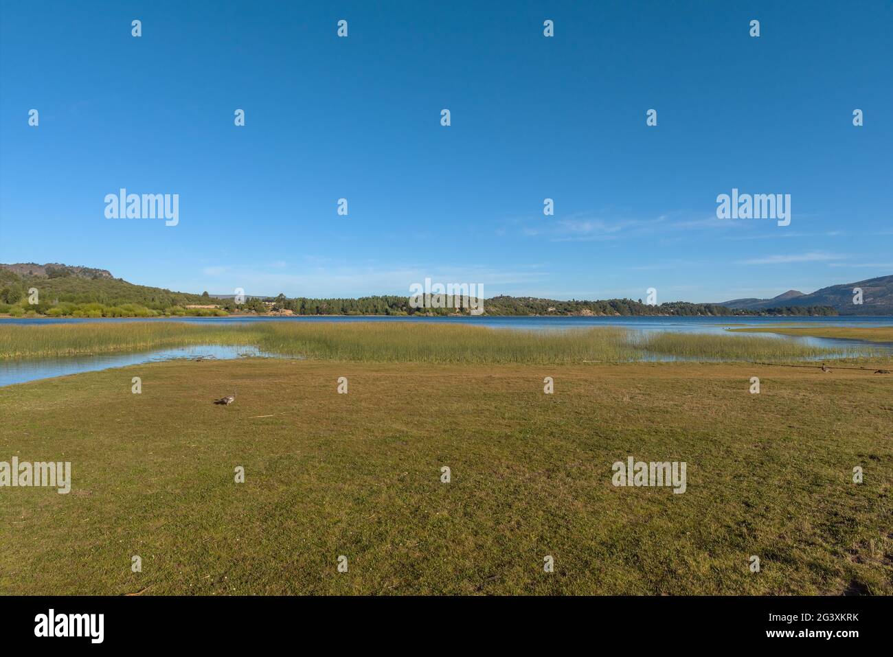 Paesaggio al Lago di Alumine, Villa Pehuenia, Argentina Foto Stock