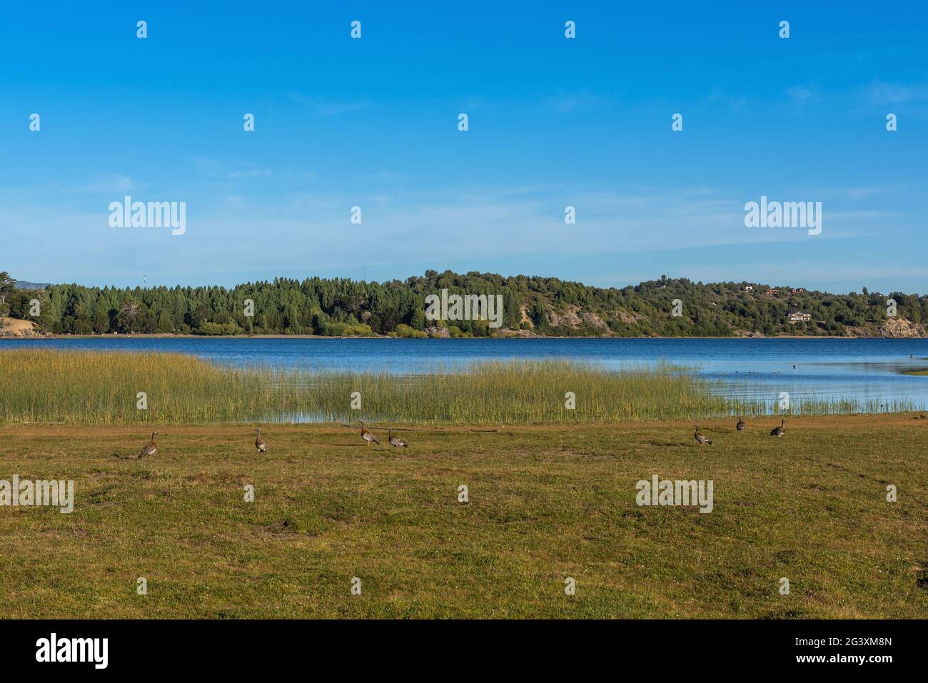 Paesaggio al Lago di Alumine, Villa Pehuenia, Argentina Foto Stock