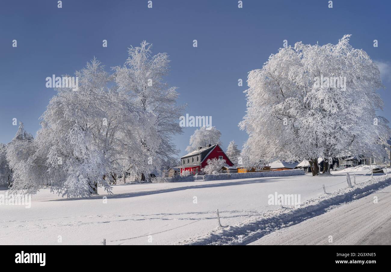 Un idillio invernale rurale Foto Stock