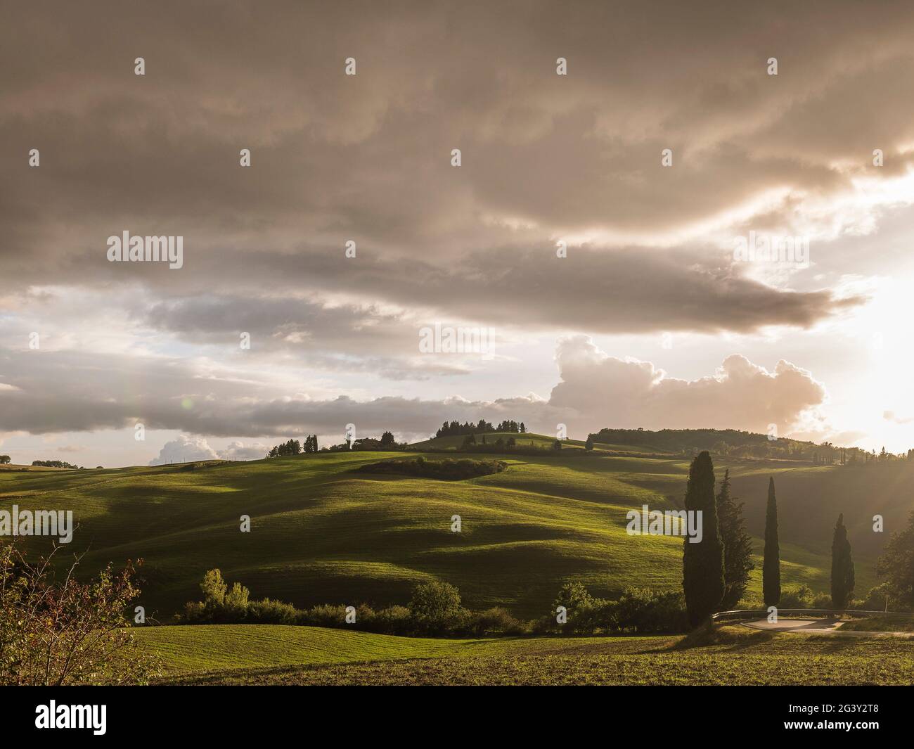 Colline morbide in Val d'Orcia, Toscana, Italia Foto Stock