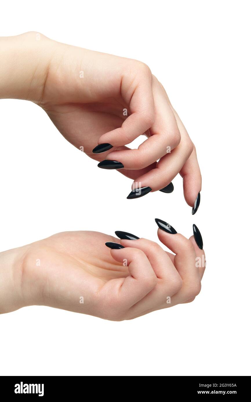 Mani femminili con unghie nere manicure isolato su sfondo bianco. Foto Stock
