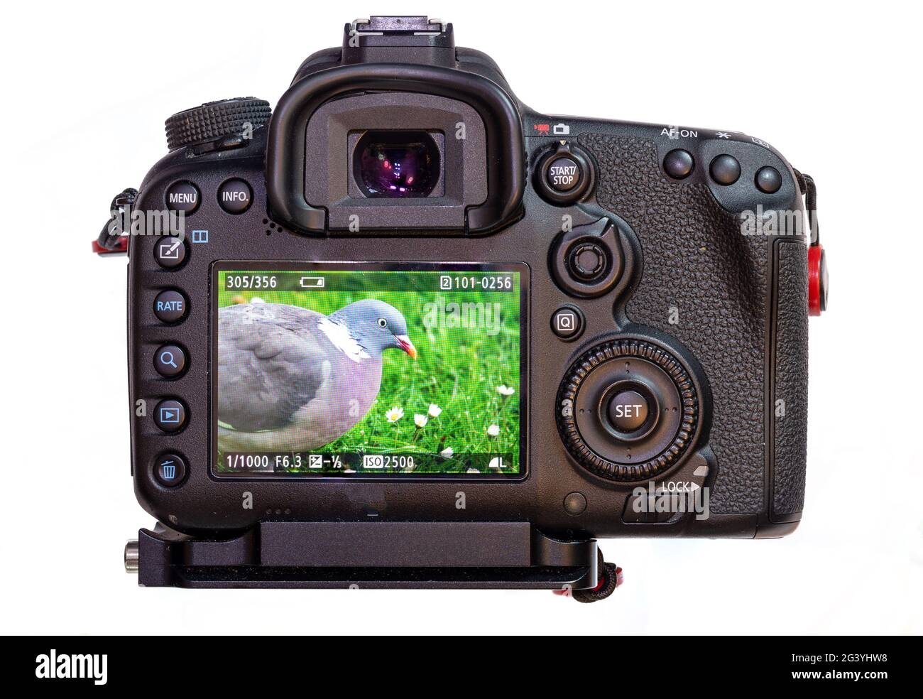 vista posteriore di una fotocamera dslr con un'immagine sullo schermo lcd Foto Stock