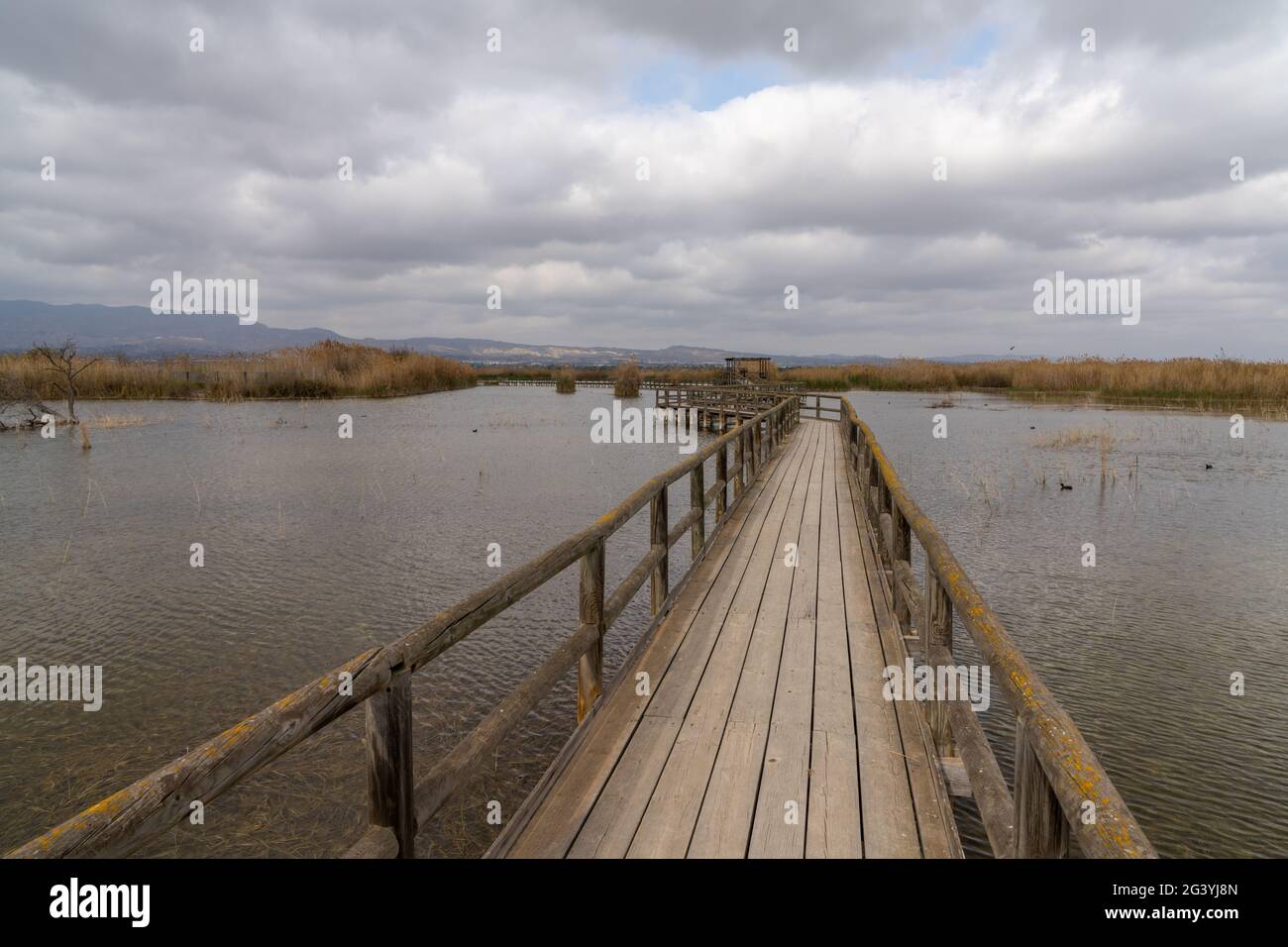 Un lungo molo in legno e una passerella in zone umide di acque salmastre con erba esparta e laguna sotto un cielo sovrastato Foto Stock