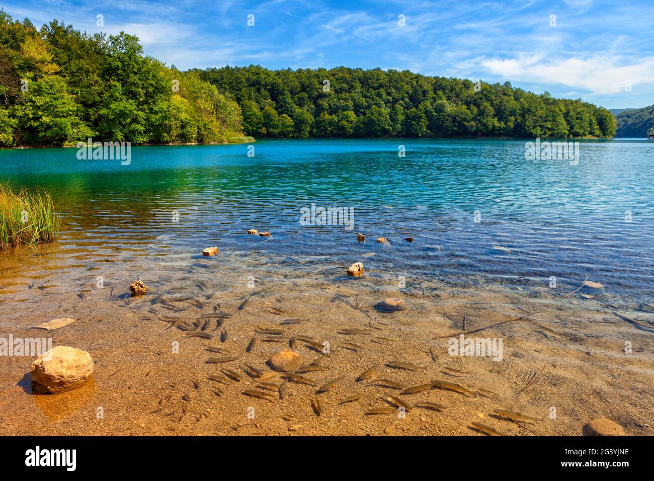 Bellissimi laghi di Plitvice in Croazia Foto Stock