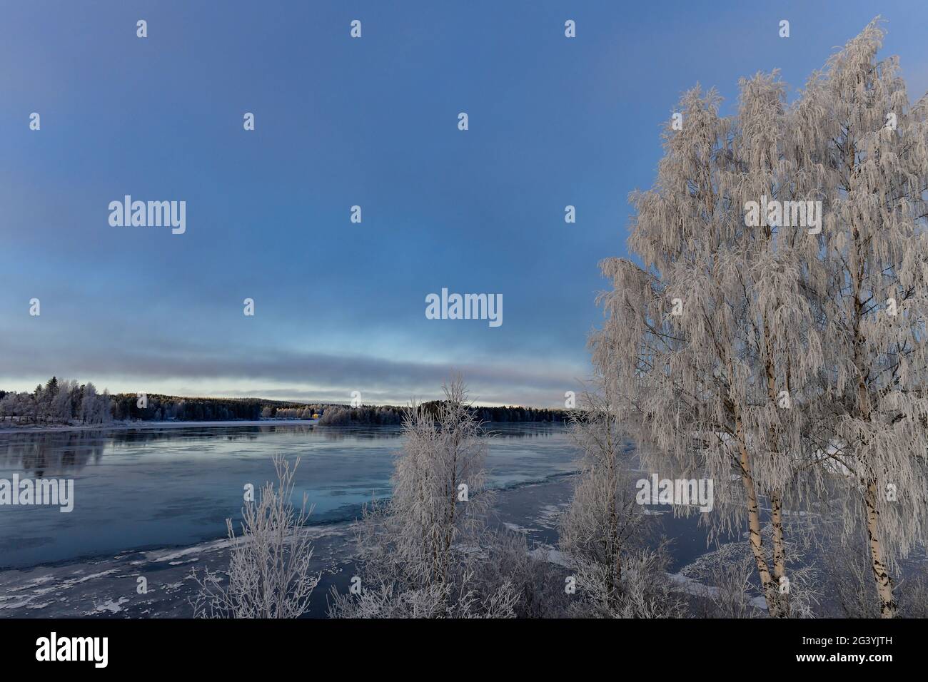 Impressione invernale con un lago ghiacciato, Dorotea, Västerbottens Län, Svezia Foto Stock