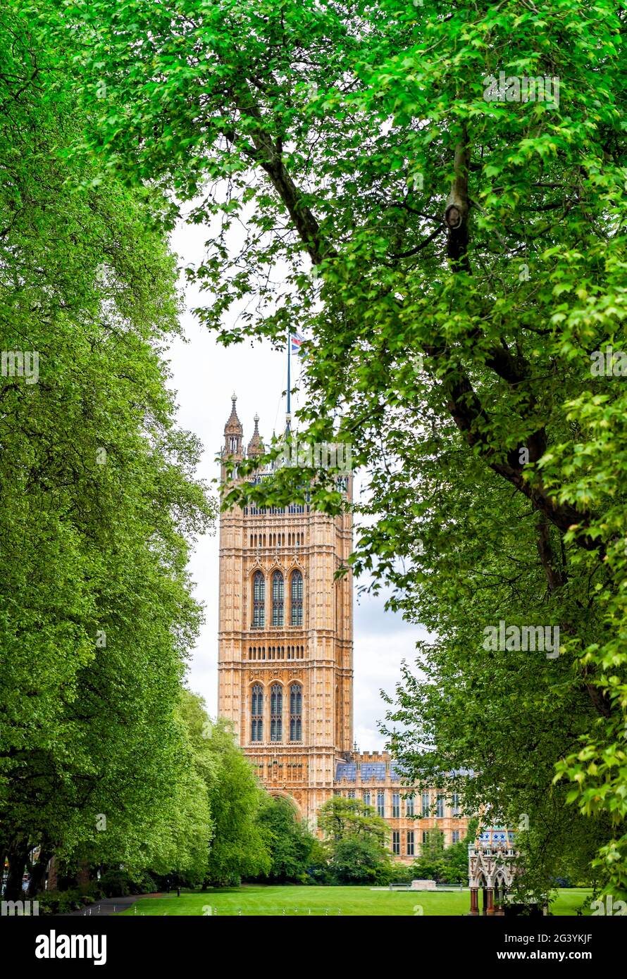Torre del Palazzo di Westminster Foto Stock