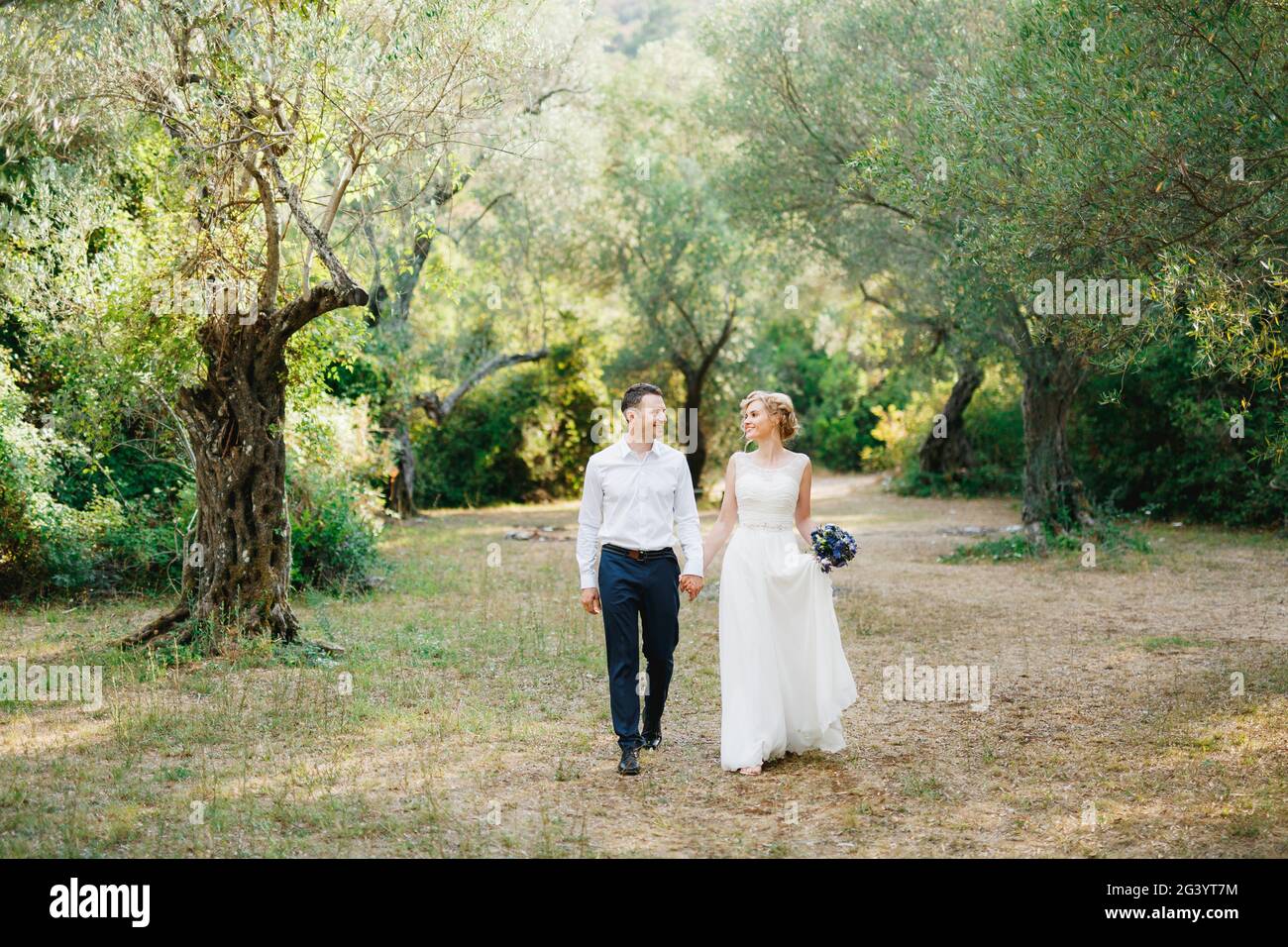 Sposa con un bouquet di fiori blu e lo sposo passeggiata fianco a fianco nell'oliveto e tenere mani Foto Stock
