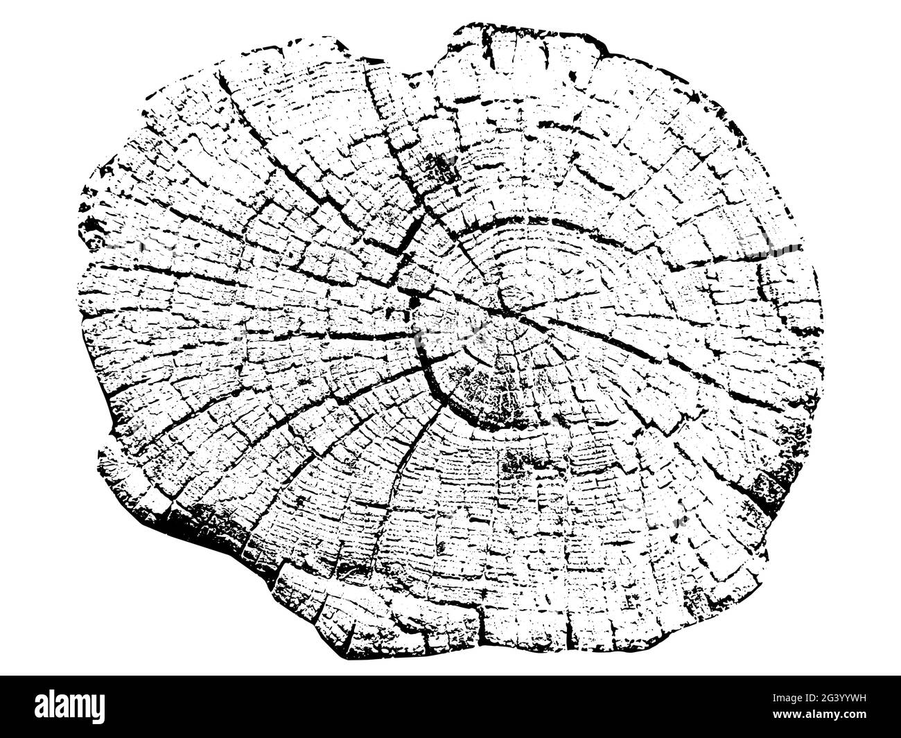 Anelli di crescita dell'albero. Legno tagliato naturale. Illustrazione vettoriale. Illustrazione Vettoriale