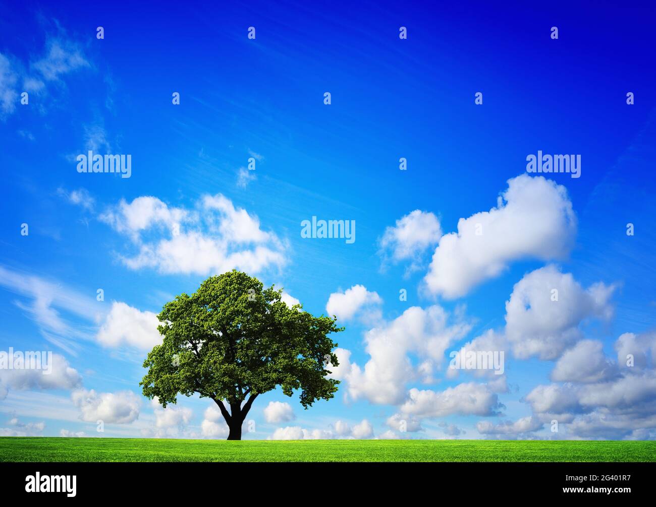 Una vista panoramica di un campo Foto Stock