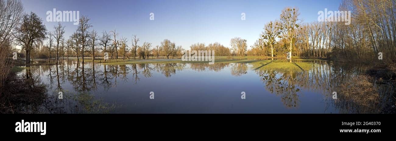 Alluvione nel paesaggio alluvionale Urdenbacher Kaempe, riserva naturale, Duesseldorf, Germania, Europa Foto Stock