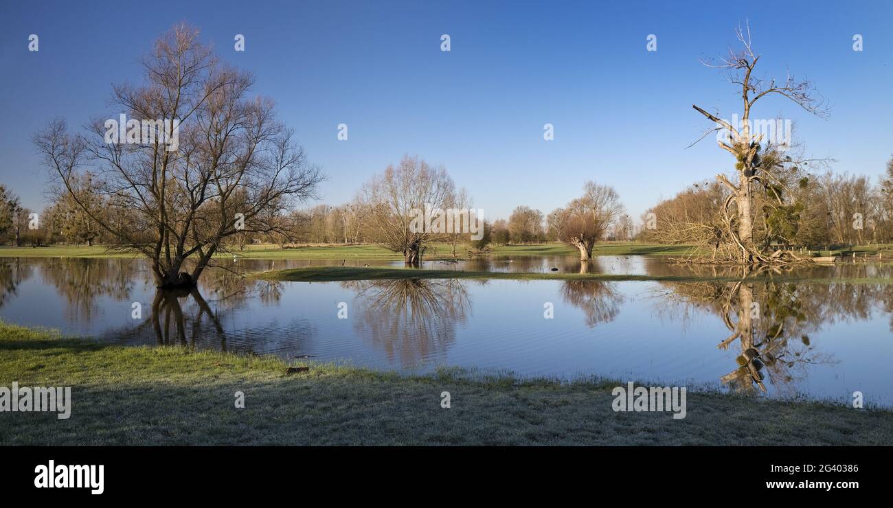 Alluvione nel paesaggio alluvionale Urdenbacher Kaempe, riserva naturale, Duesseldorf, Germania, Europa Foto Stock