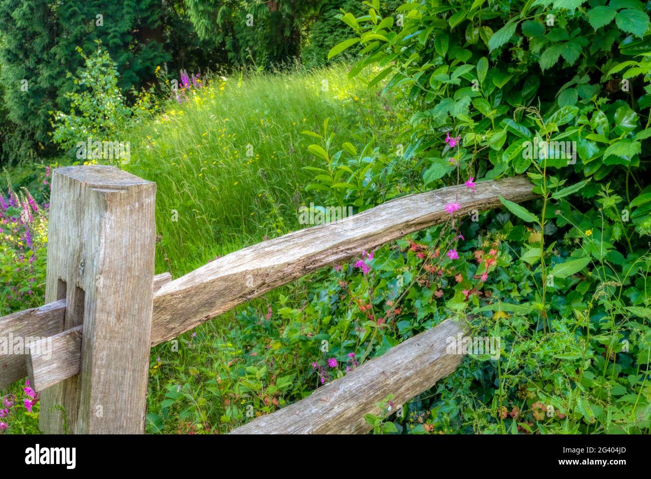 Recinzione di campagna in legno, Parke estate, Bovey Tracey, Devon, Regno Unito Foto Stock