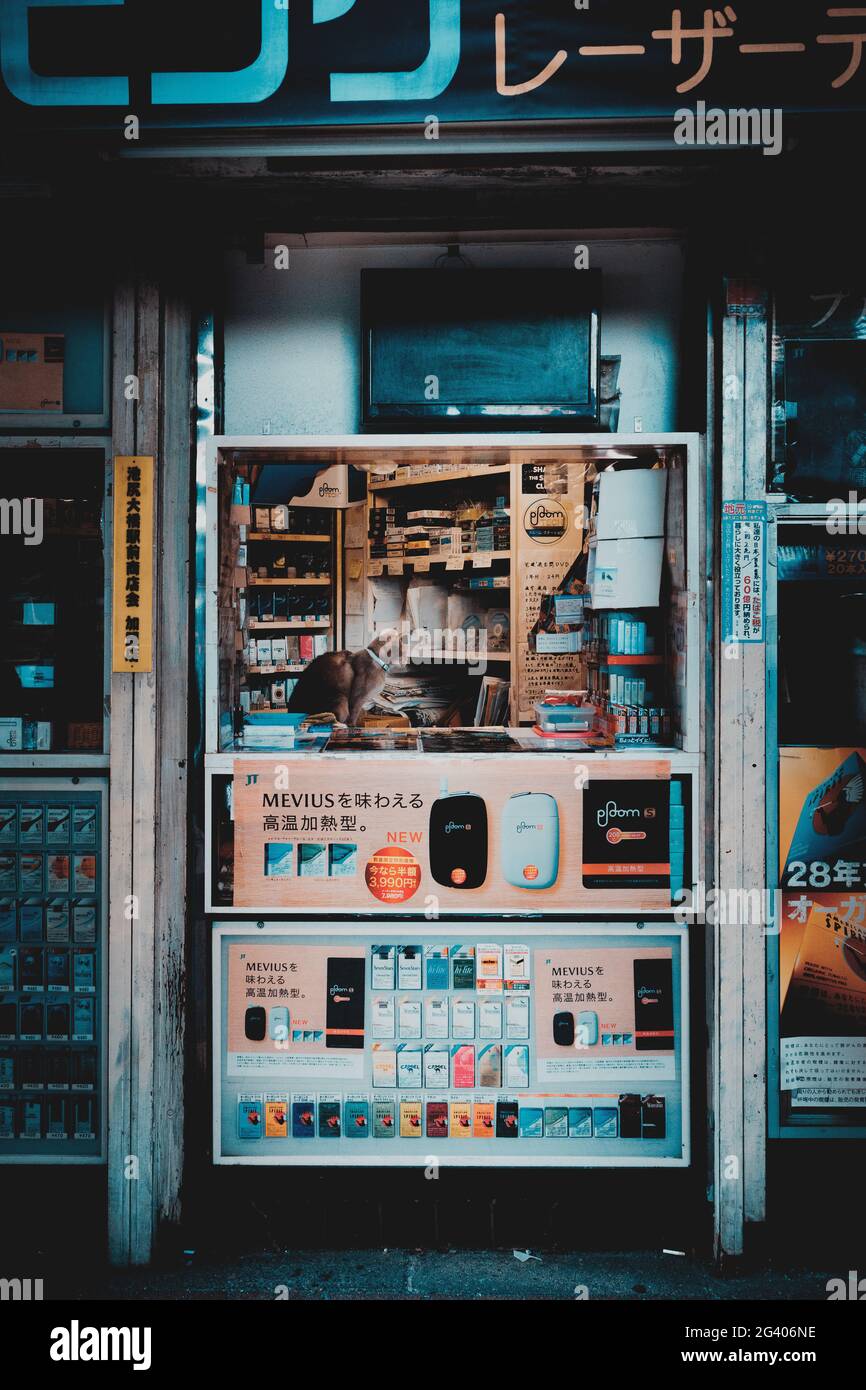 Cat al bancone di un negozio ad angolo a Tokyo, Giappone Foto Stock
