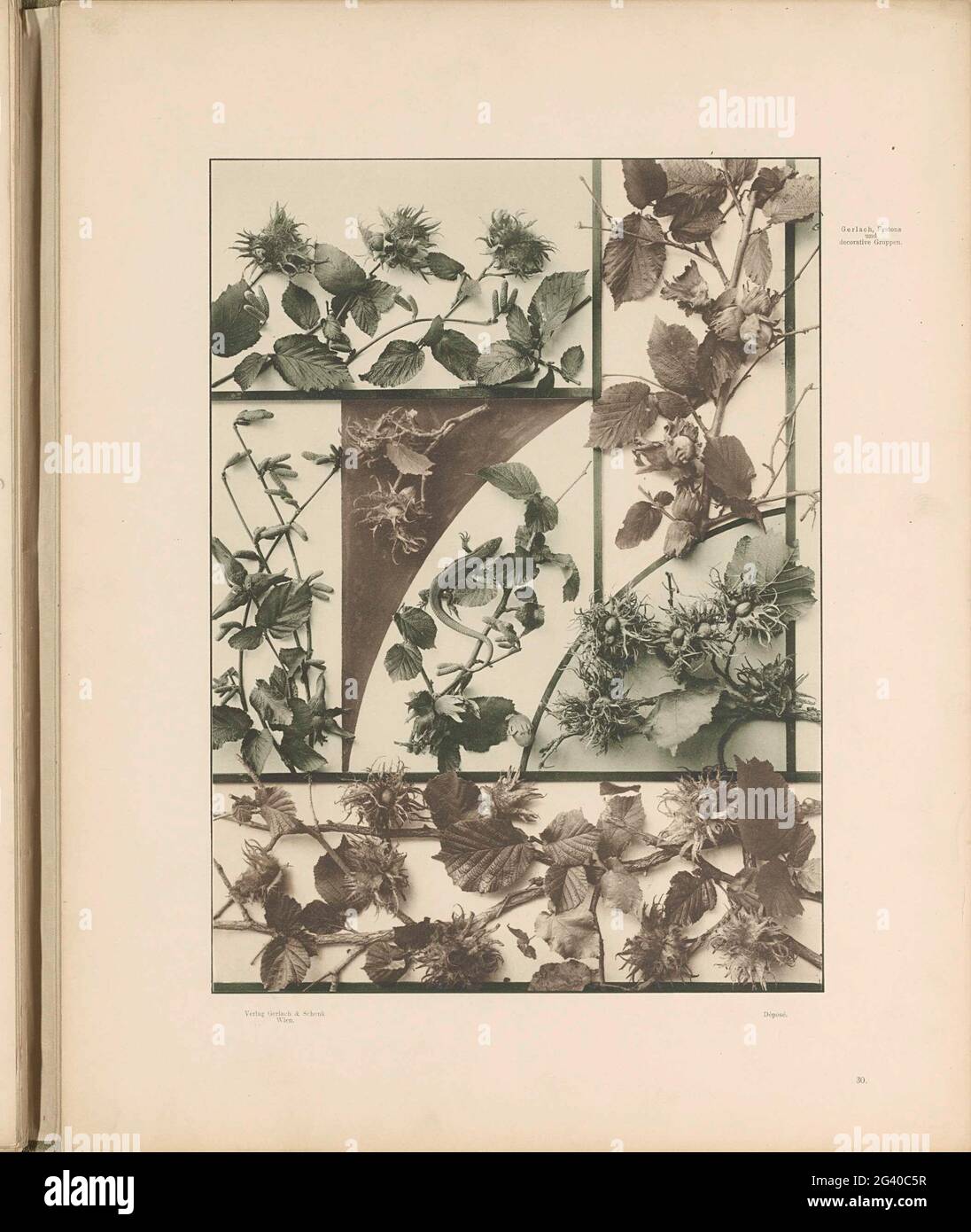 Facce con rami di nocciolo e una lucertola. . Foto Stock