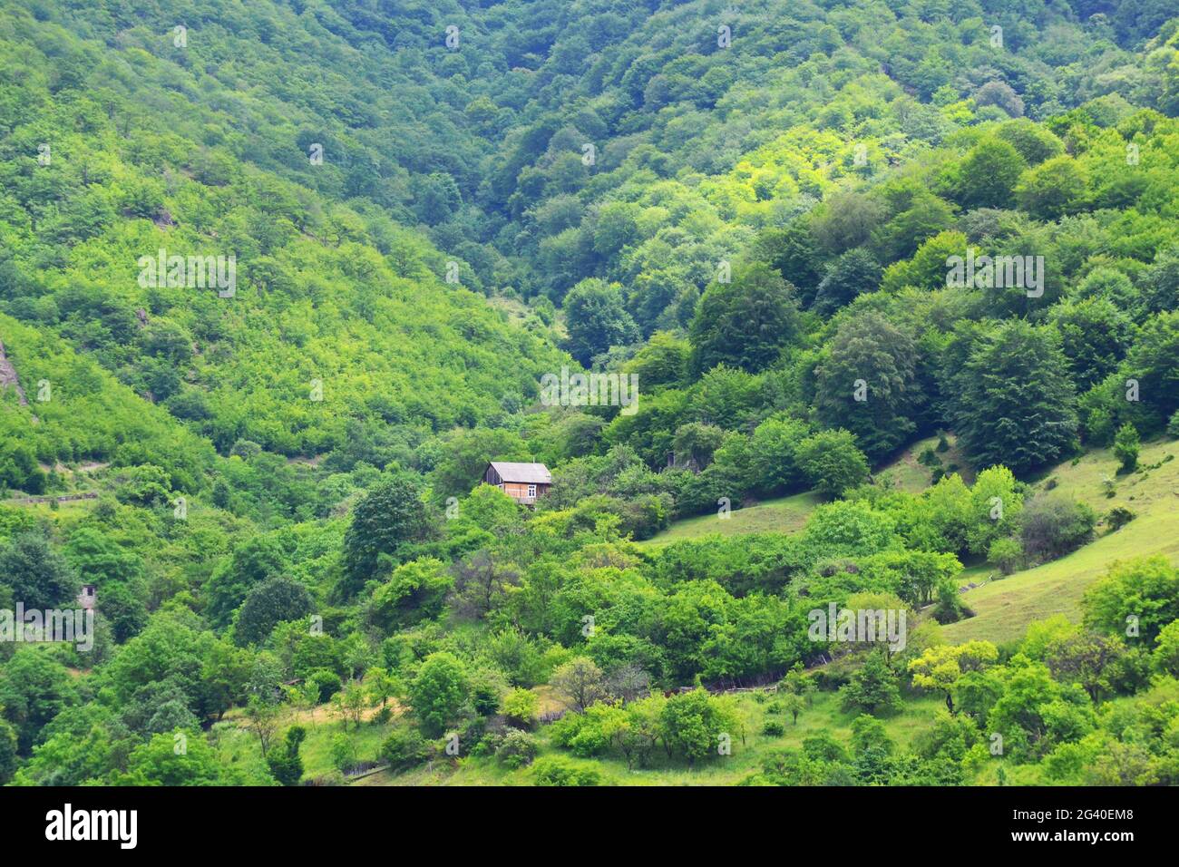 Verdi colline della regione di Lori. Armenia Foto Stock