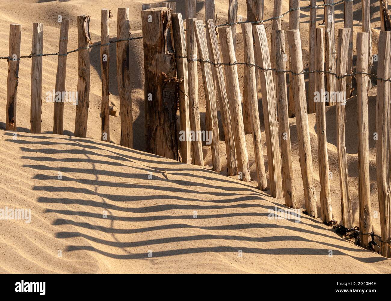 Recinzione per prevenire l'erosione delle dune di sabbia a Camber Sands, East Sussex, UK Foto Stock