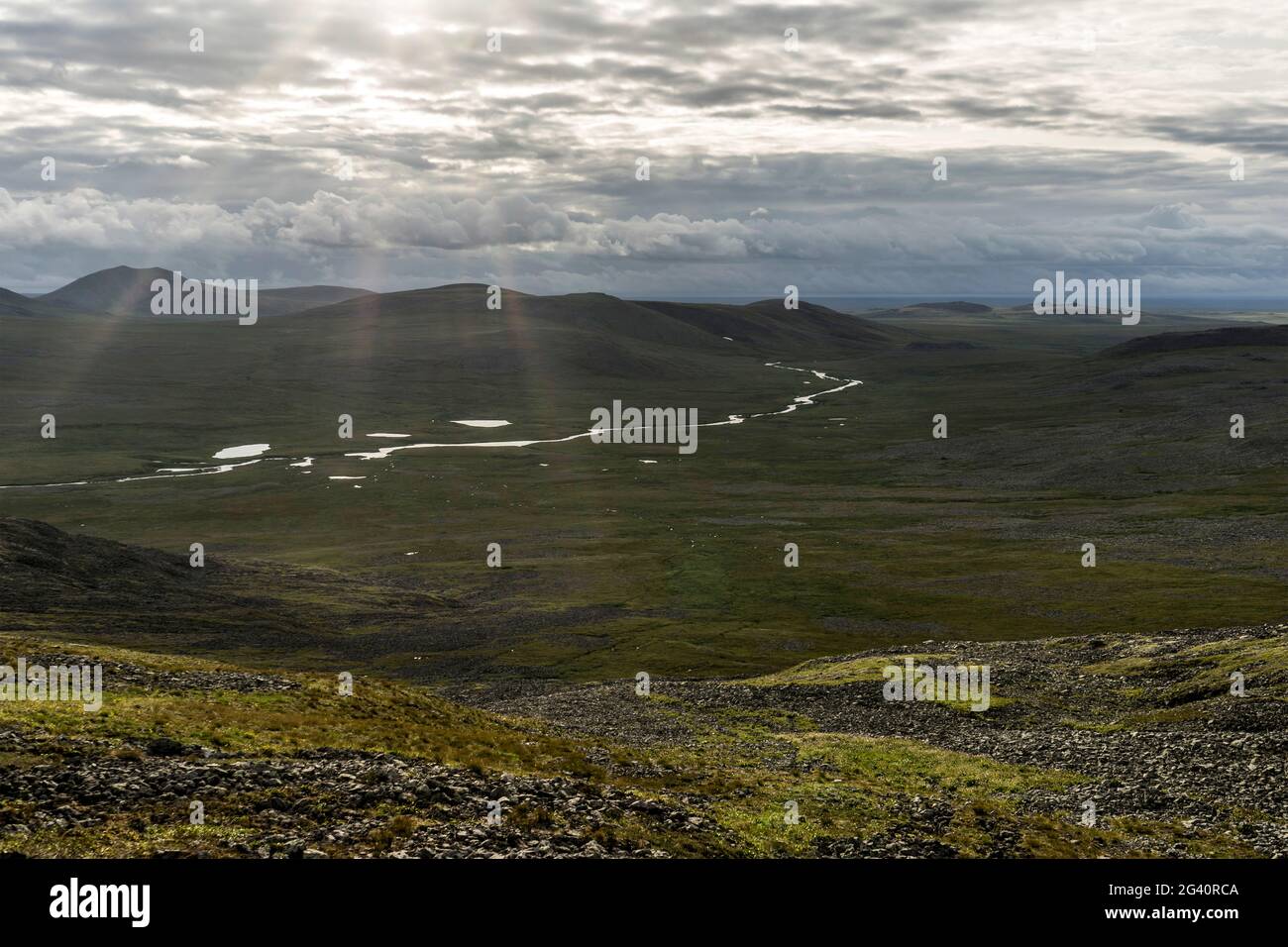 Vista sulla vastità della tundra russa, Polarurale, Repubblica di Komi, Russia Foto Stock