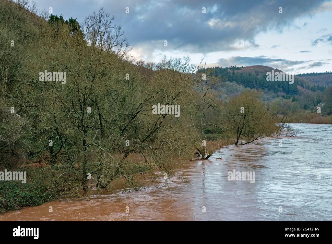 Il fiume elevato Wye a Brockweir. Foto Stock