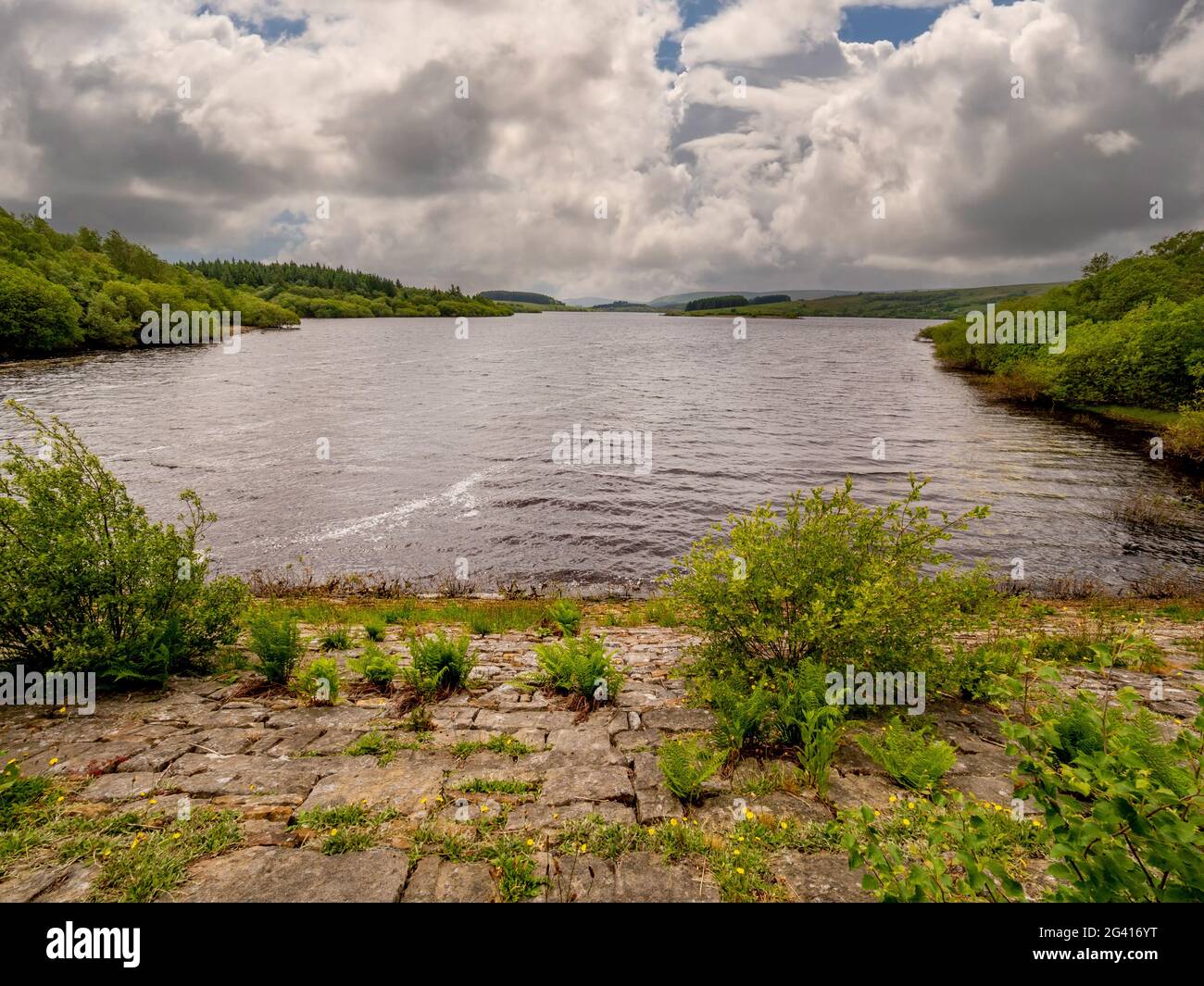 Stock Reservoir visto da Hole House Lane con Bird Island in lontananza, Foresta di Bowland, Lancashire. REGNO UNITO. Foto Stock
