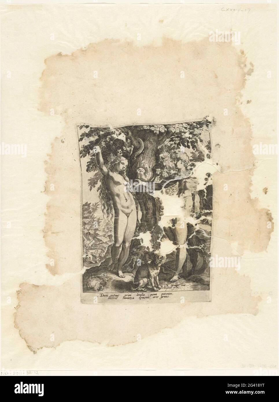 Adamo ed Eva. Adamo ed Eva stanno per l'albero della conoscenza in paradiso. EVA prende appena la mela dal serpente. Sul terreno per Adamo ed Eva un cane e un riccio. Sullo sfondo un cervo e un leone. Nell'undermaster un testo latino a due chiavi. Copia in speculare per incisione da Hendrick Goltzius dal 1585. Ricostruito da tre frammenti. Foto Stock