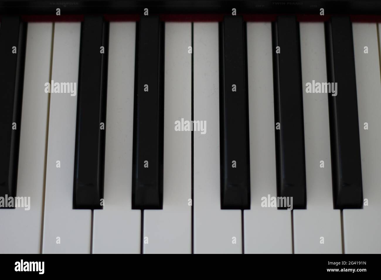 Taglio di una tastiera piano in bianco e nero Foto Stock