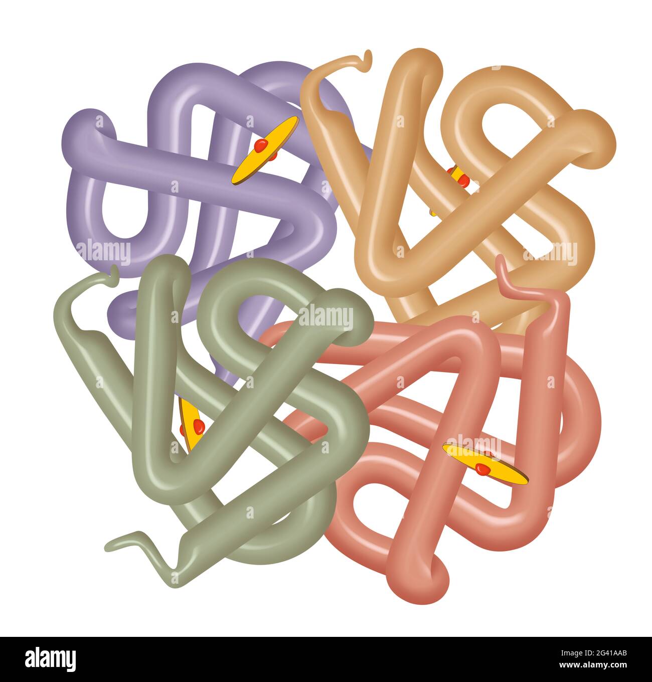 Struttura della molecola di emoglobina umana Foto Stock