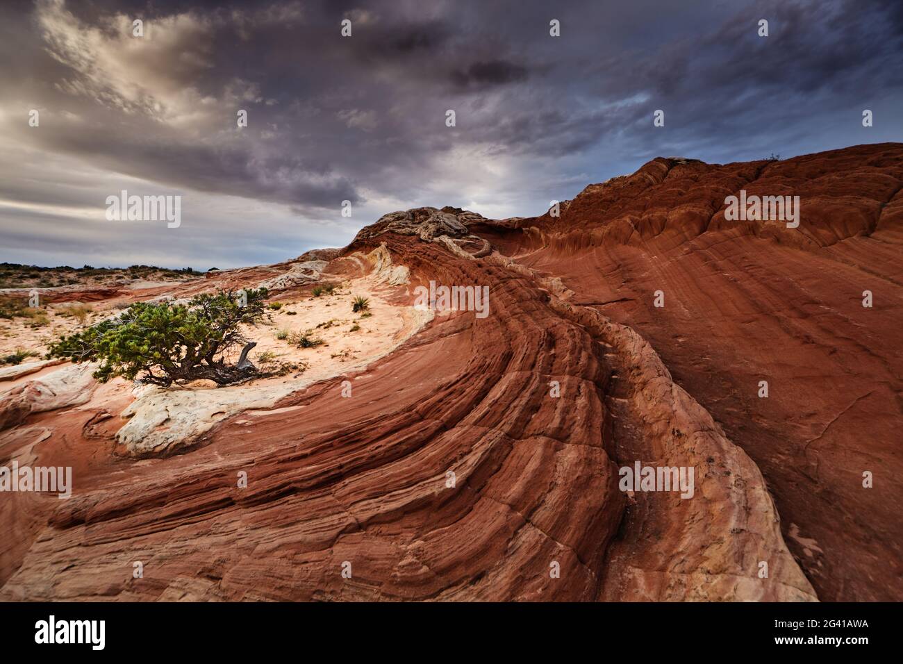 Tasca bianco, le formazioni rocciose scogliere Vermiglio monumento nazionale, Arizona, Stati Uniti d'America Foto Stock