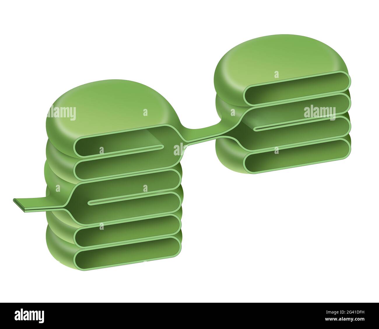 Struttura del granato di cloroplasto. Tilacoidi Foto Stock