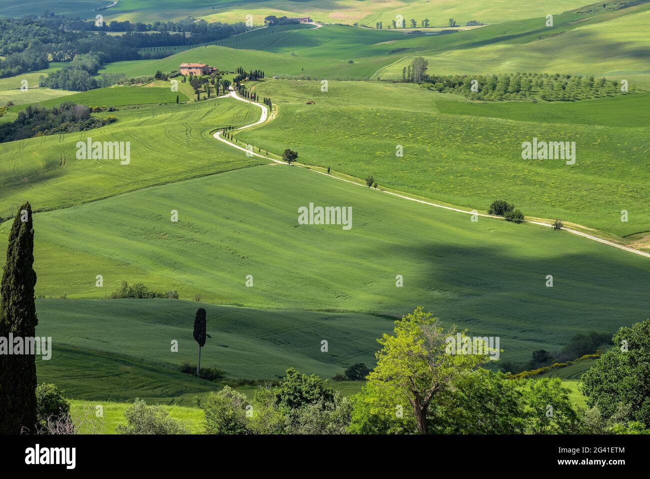 La campagna della Val d'Orcia Toscana Foto Stock