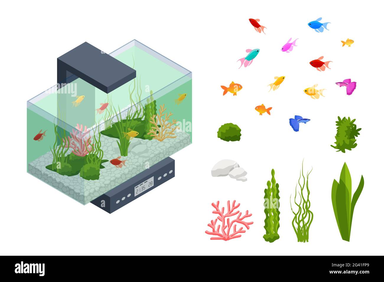 Pesce d'oro isometrico nell'Acquario d'acqua dolce e insieme di elementi acquari sottomarini, pesci, coralli, verde piantato tropicale, pietre isolate su bianco Illustrazione Vettoriale
