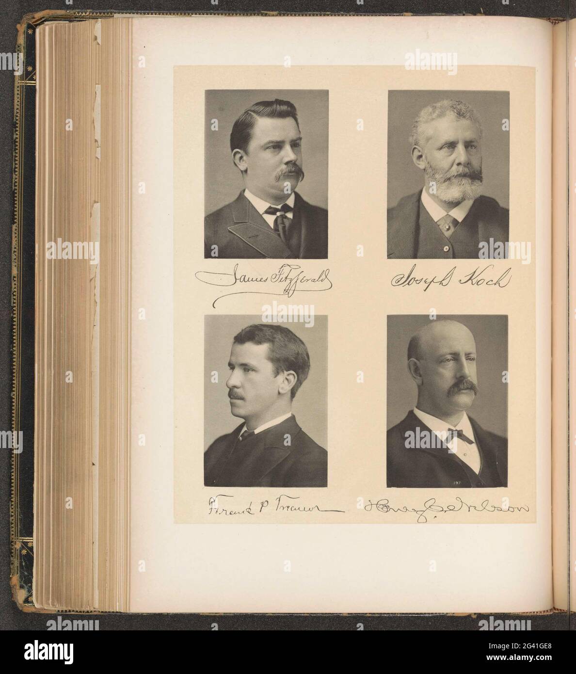 Ritratti di quattro membri del Senato dello stato di New York. In alto a sinistra James Fitzgerald, in alto a destra Joseph Koch, in basso a sinistra Frank P. Treeanor, in basso a destra Henry C. Nelson. Foto Stock