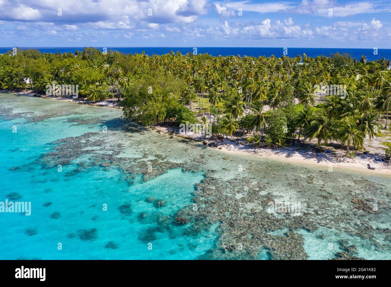 Vista aerea delle persone che si rilassano sulla spiaggia con piantagioni di cocco dietro di loro, l'Isola di Avatoru, l'Atollo di Rangiroa, le Isole Tuamotu, Polinesesi Francese Foto Stock