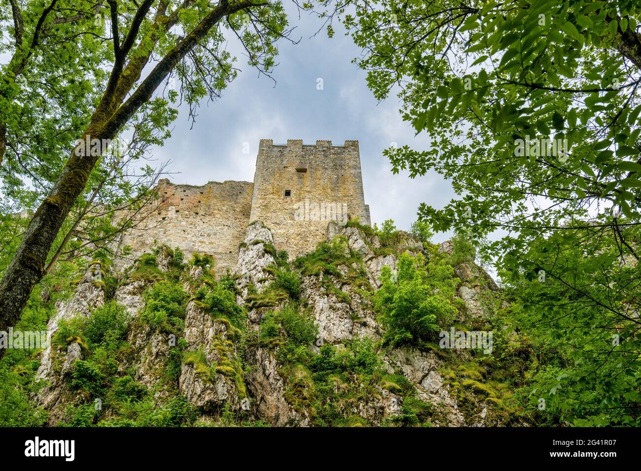 Sotto il Castello di Weissenstein, bassa Baviera, Baviera, Germania, Europa Foto Stock