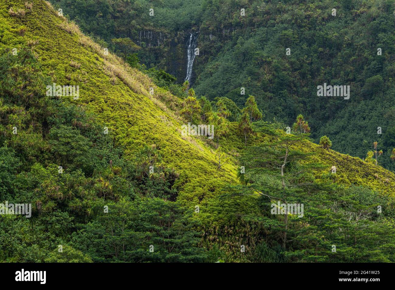 Una cascata si incastra lungo una montagna in mezzo alla lussureggiante vegetazione della giungla, vicino a Taipivai, Nuku Hiva, Isole Marquesas, Polinesia francese, Sud Pacifico Foto Stock