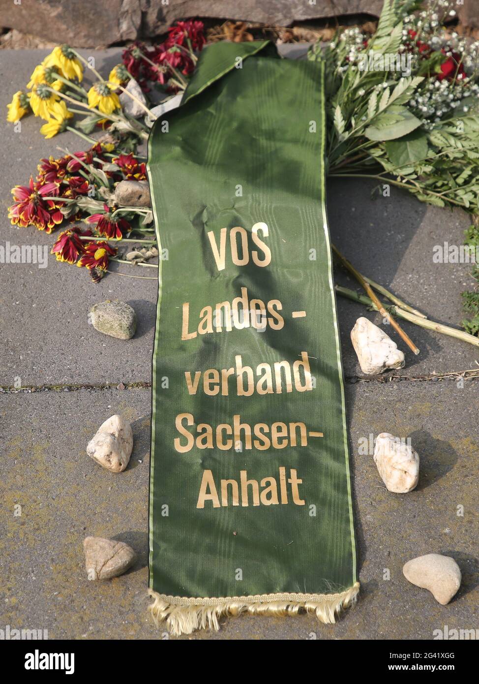 Pietra commemorativa per le vittime della dittatura nel GDR Ernst Jennrich a Magdeburgo-Nord-Ovest Foto Stock