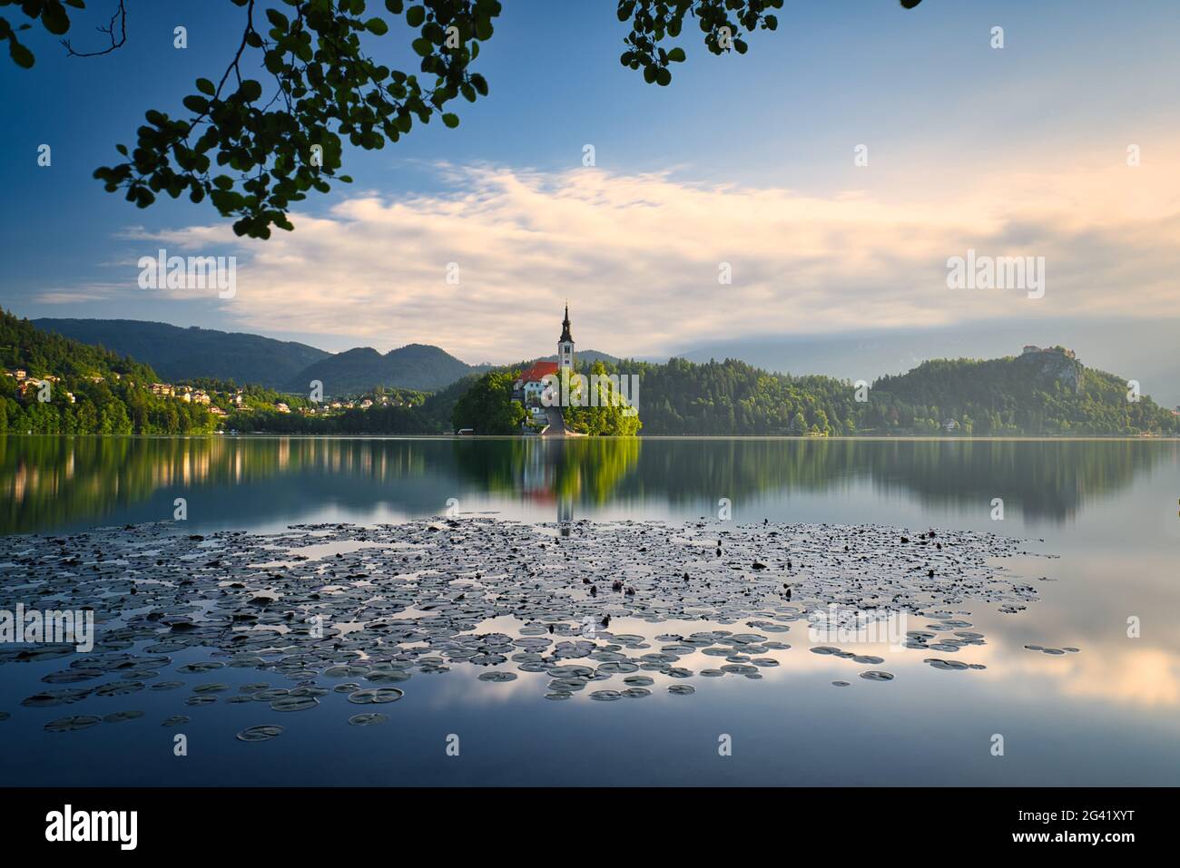 Lago Bled alba Foto Stock