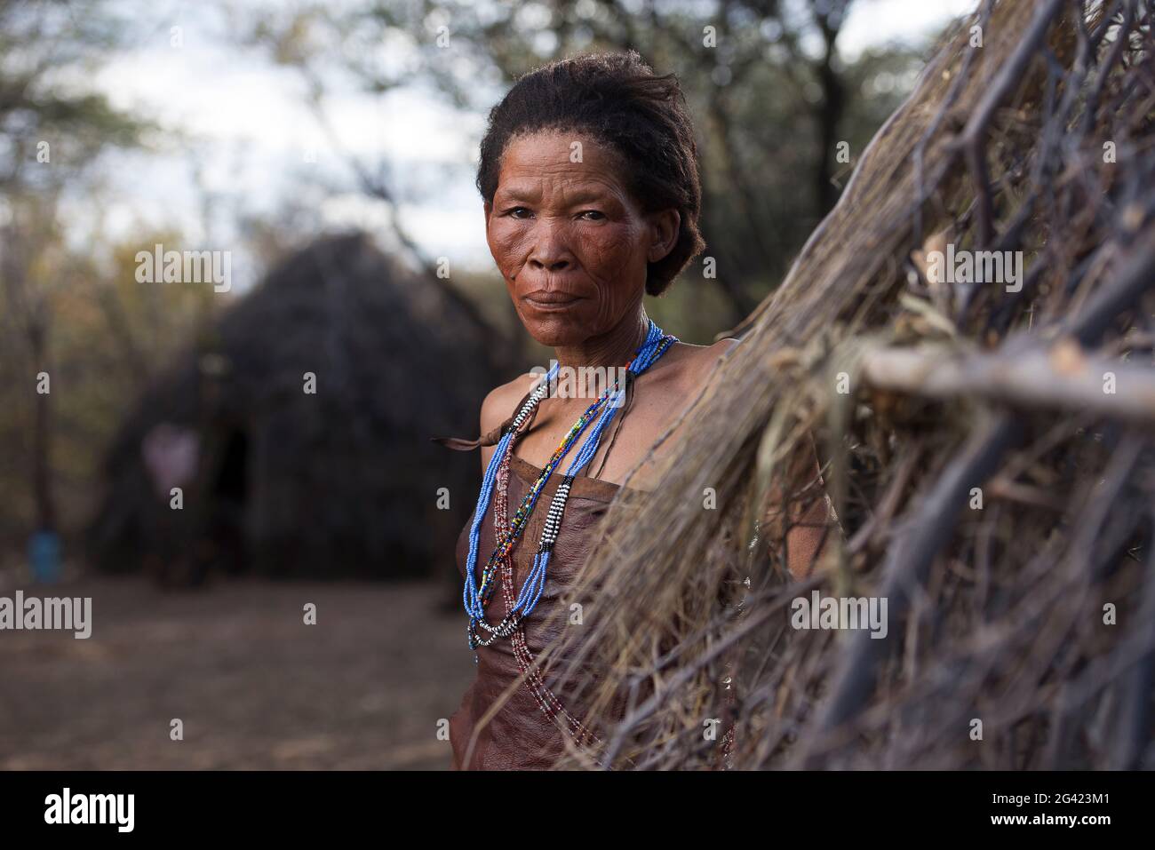 Ritratti di persone dai Boscimani Naro Tribe. Il Botswana ospita circa 63,500 San, che rappresentano circa il 2.8% della popolazione del paese, il che lo rende il paese con la più alta popolazione di San. I popoli di San (anche Saan), o Boscimani, sono membri di vari gruppi di cacciatori-raccoglitori indigeni di lingua khoe, Tuu, o Kxʼa, che sono le prime nazioni dell'Africa del Sud. Botswana. Foto Stock