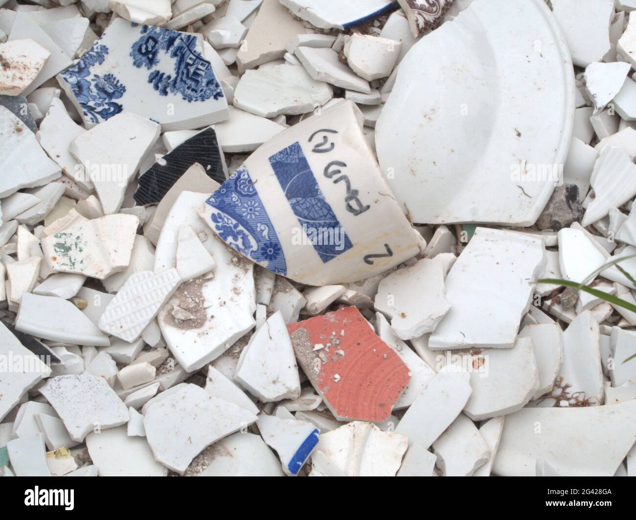 La ceramica rotta sparsa è stata riporrata come drenaggio. Foto Stock