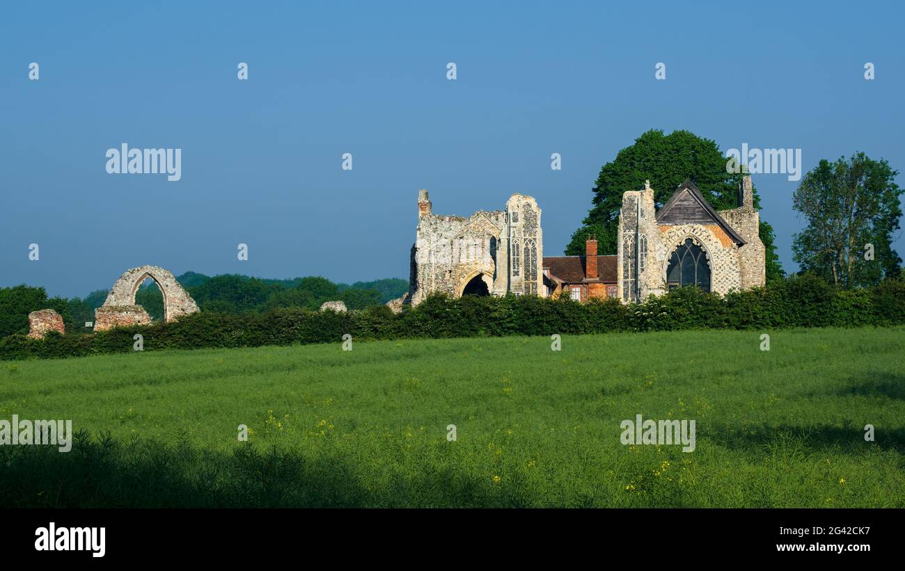 Le rovine di a Leiston Abbey in a Leiston Suffolk Maggio 25, 2017 Foto Stock