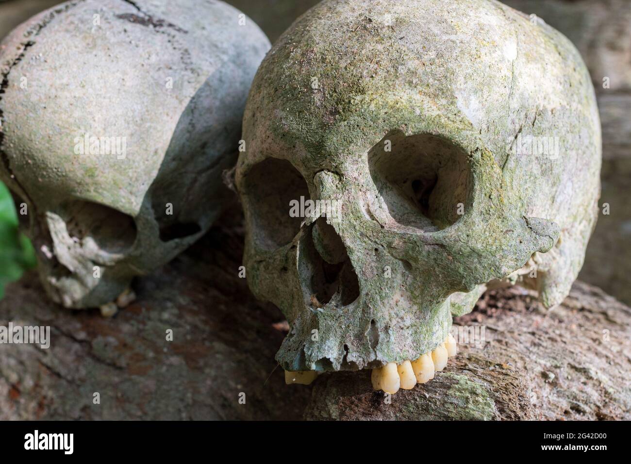 La storica sepoltura di Lombok Parinding a Tana Toraja Foto Stock