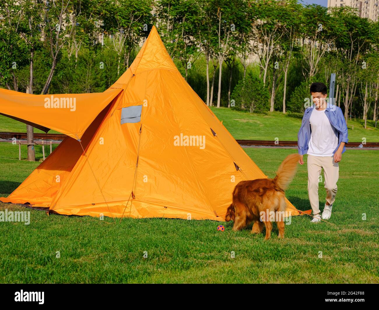 Un giovane e il suo cane da compagnia stanno giocando nel parco foto di alta qualità Foto Stock